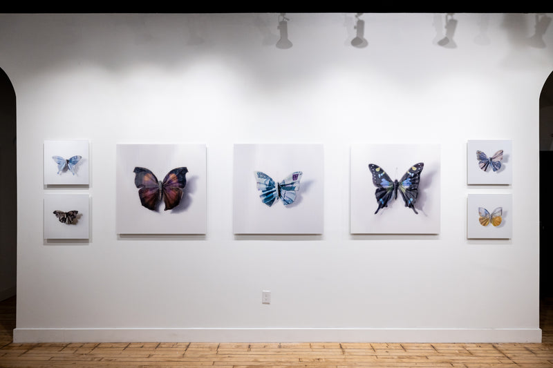 A Thing of Beauty #6 (Graphium) 36"x36" Edition 5/10