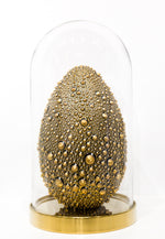 Wet Gold Egg