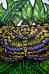 Black Witch Moth (Silkscreen Print)