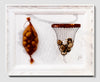 Diptych: Egg Bag & Insect Net