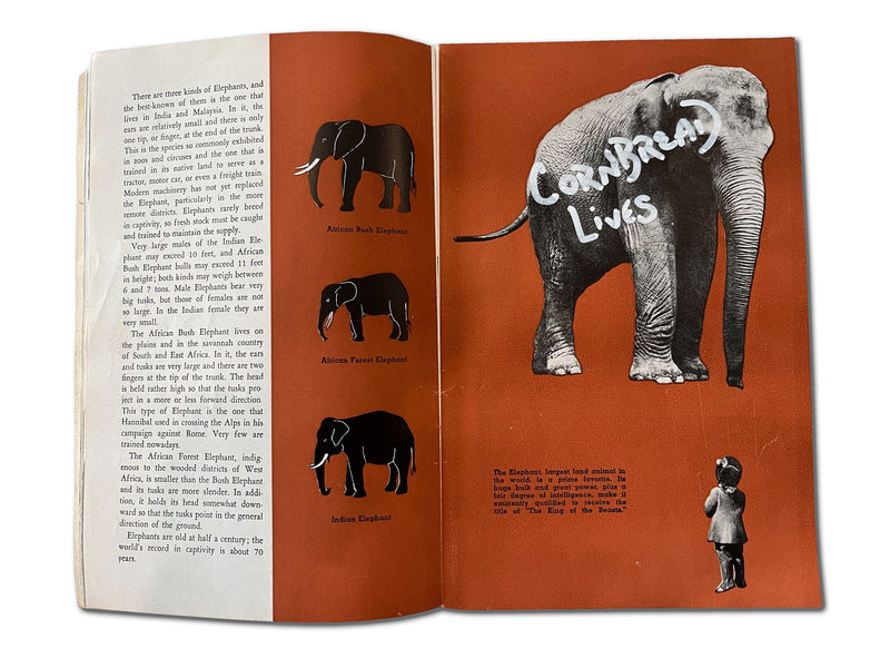 Cornbread Lives, Philly Zoo Official Illustrated Guide Book