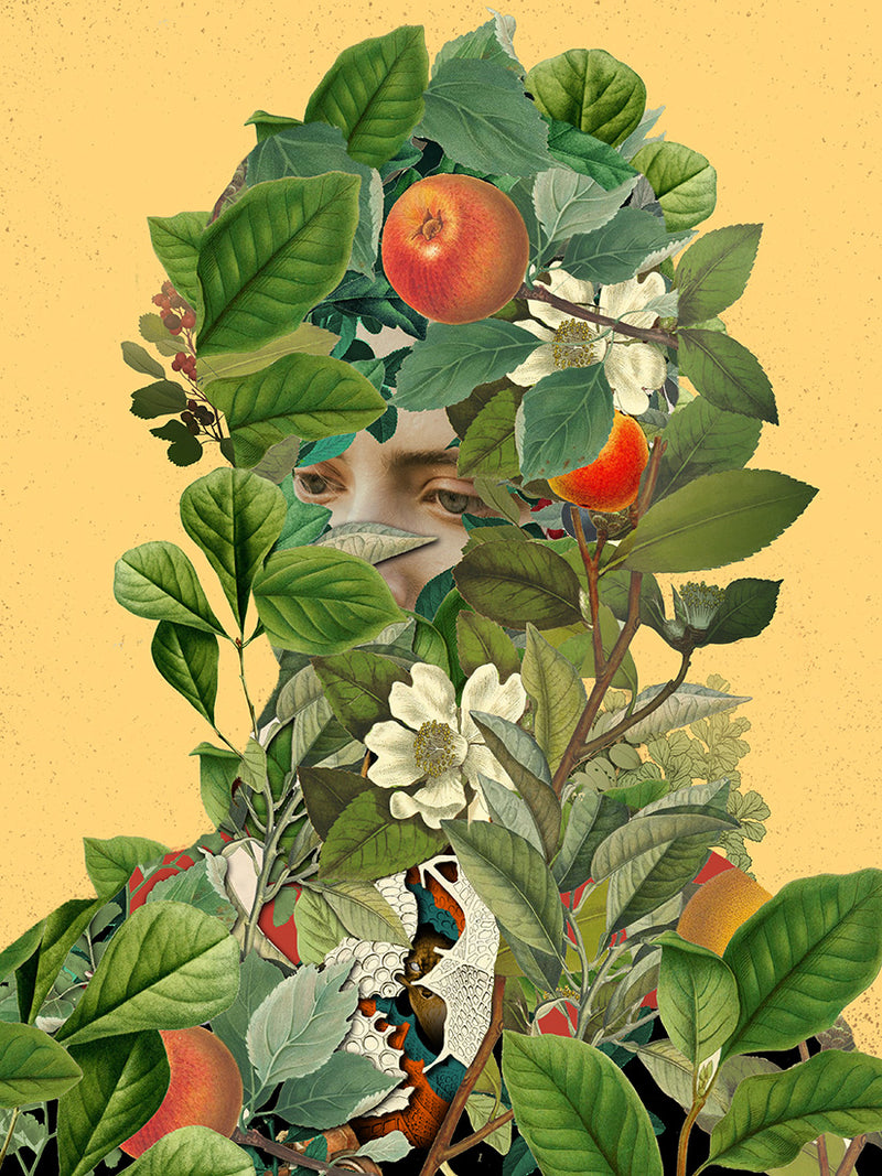 Alex Eckman-Lawn: Monolith/Relic