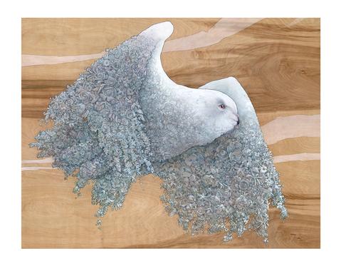 Bloom: Works by Kyle Fisher
