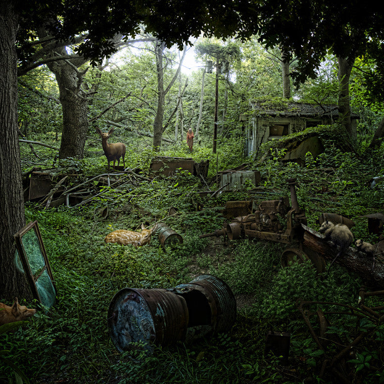 Featured Artist: Nick Pedersen