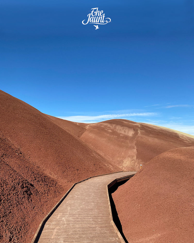 The Jaunt: Closer to Home