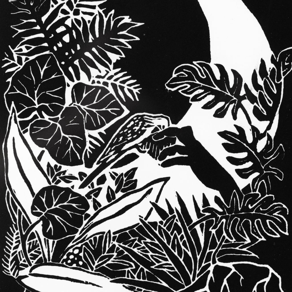 Alison Dilworth