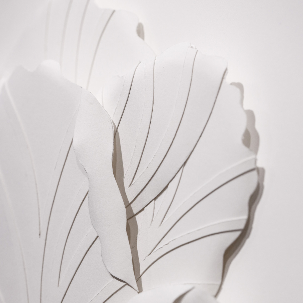 Colette Fu