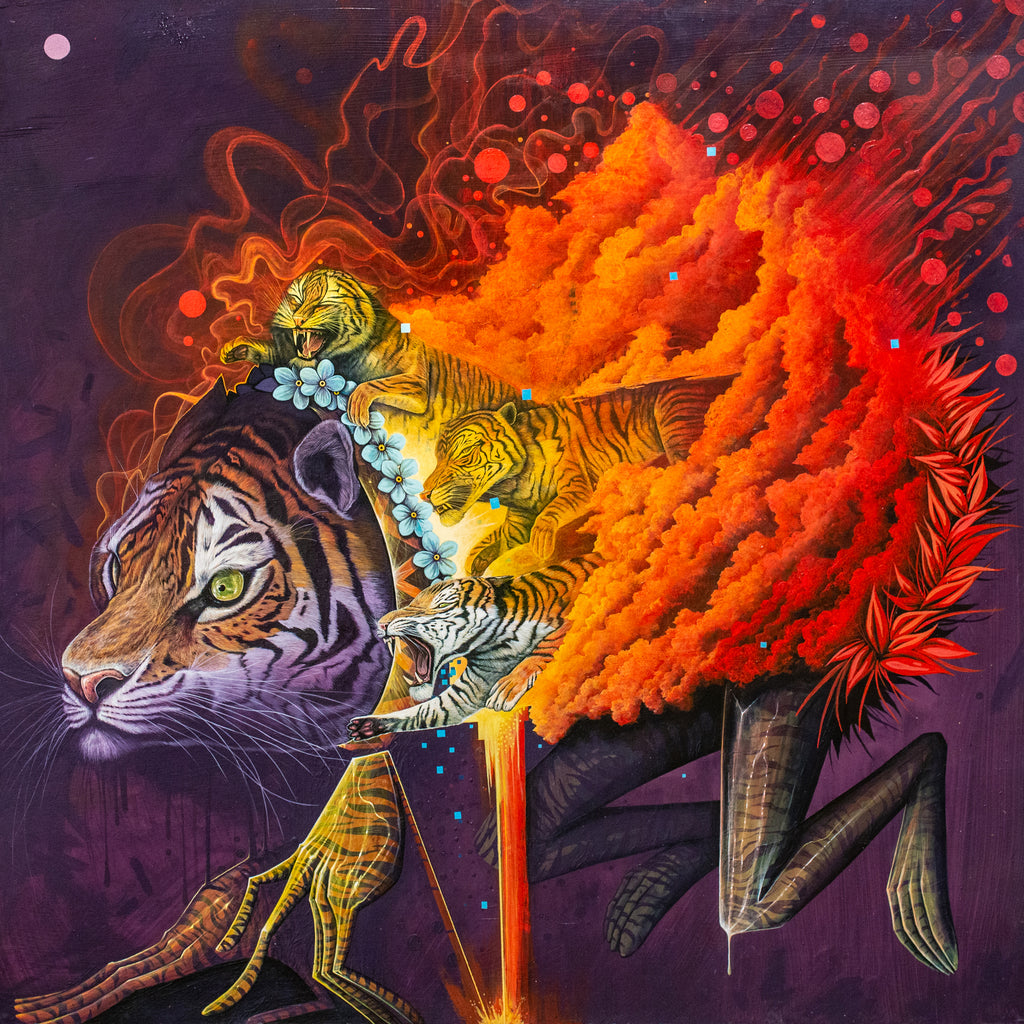 Nosego at Paradigm Gallery 