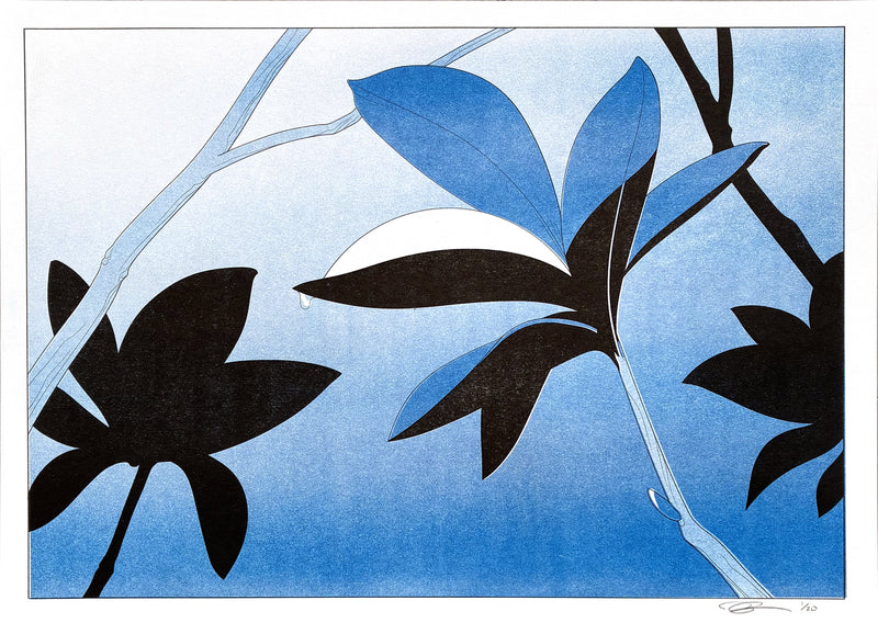 "La Tranche" Risograph Print Series by Anuj Shrestha