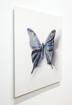 A Thing of Beauty #6 (Graphium) 36"x36"