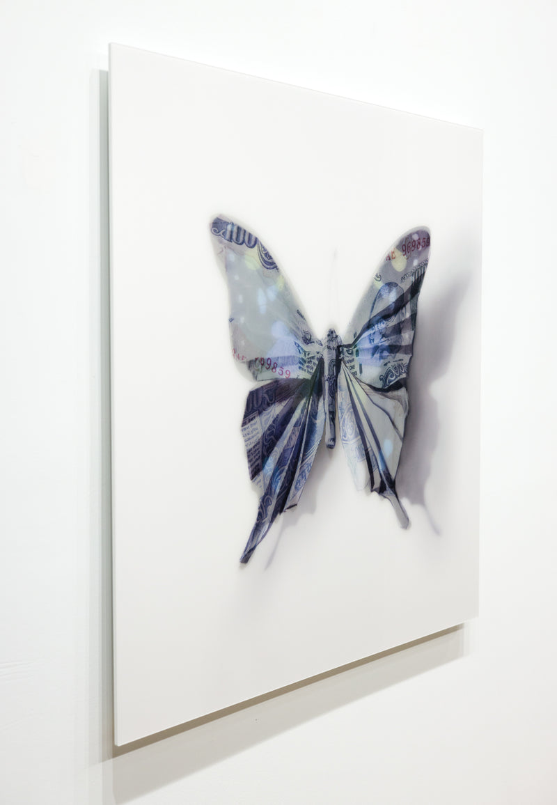 A Thing of Beauty #6 (Graphium) 36"x36" Edition 5/10