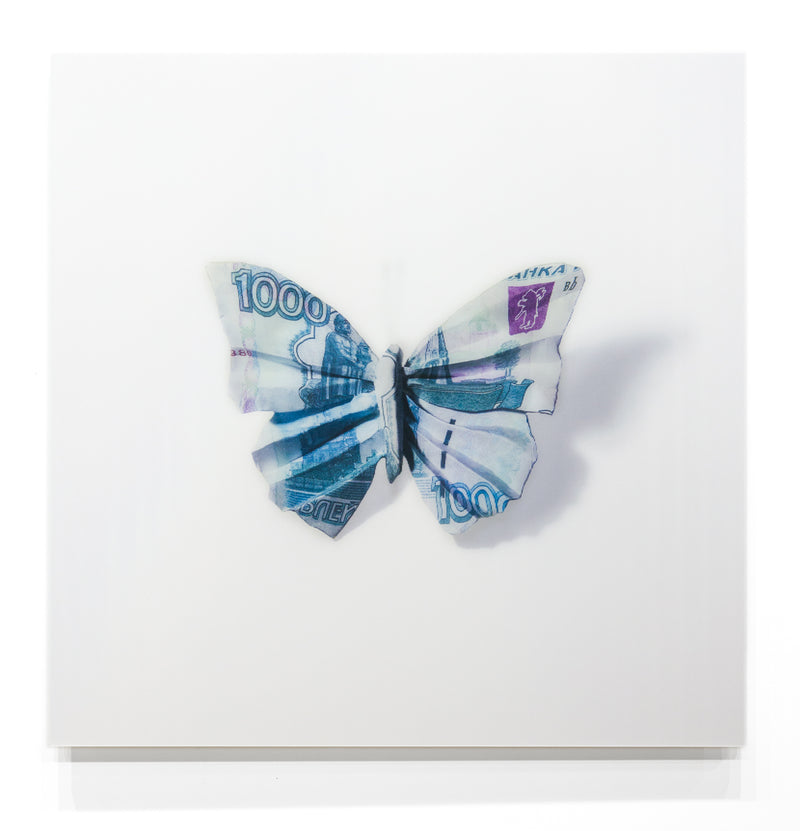 A Thing of Beauty #7 (Charaxes) 36"x36" Edition 4/10