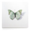 A Thing of Beauty #7 (Charaxes) 36"x36"