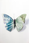 A Thing of Beauty #7 (Charaxes) 36"x36"