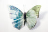 A Thing of Beauty #7 (Charaxes) 36"x36" Edition 4/10