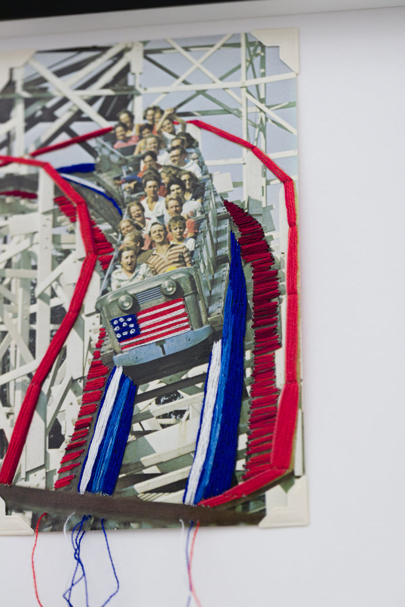 A Wild Ride