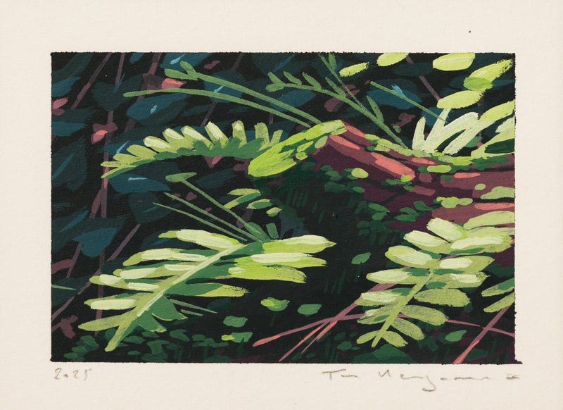Autumn Light II