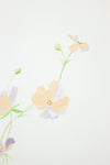 Butterfly Jubilee