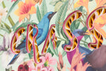 CRASS