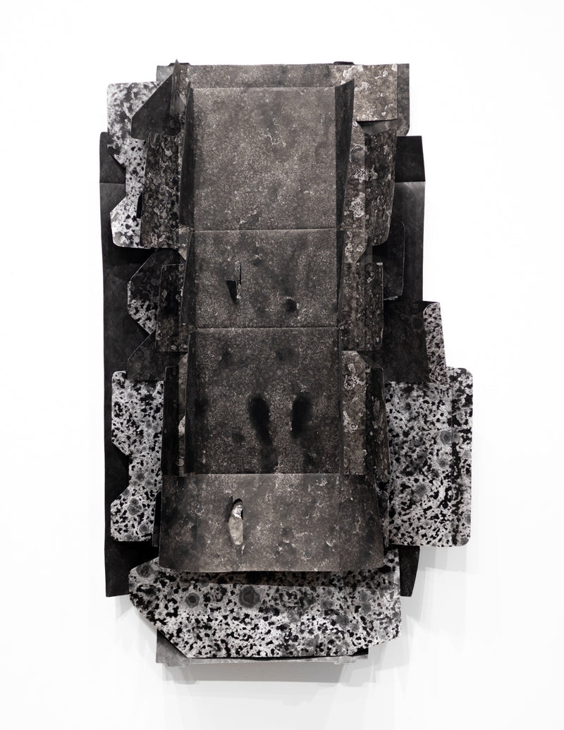 Delivered and Discarded (positives) #2