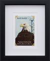 Eagle Eye