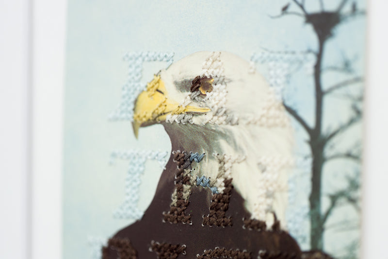 Eagle Eye