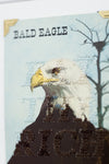 Eagle Eye