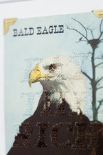 Eagle Eye