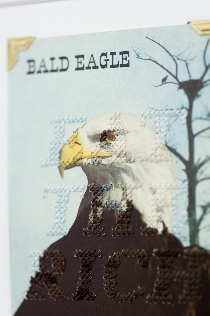 Eagle Eye