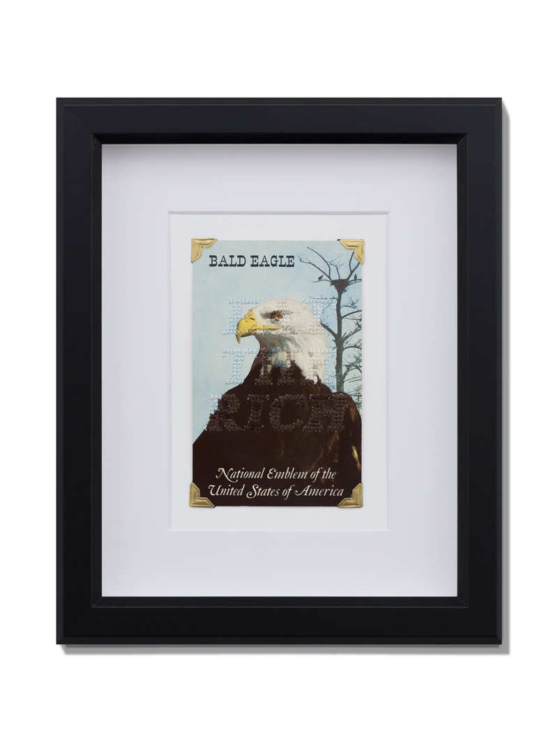 Eagle Eye