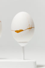Egg Canoes: Duck #5-8