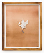 Egret