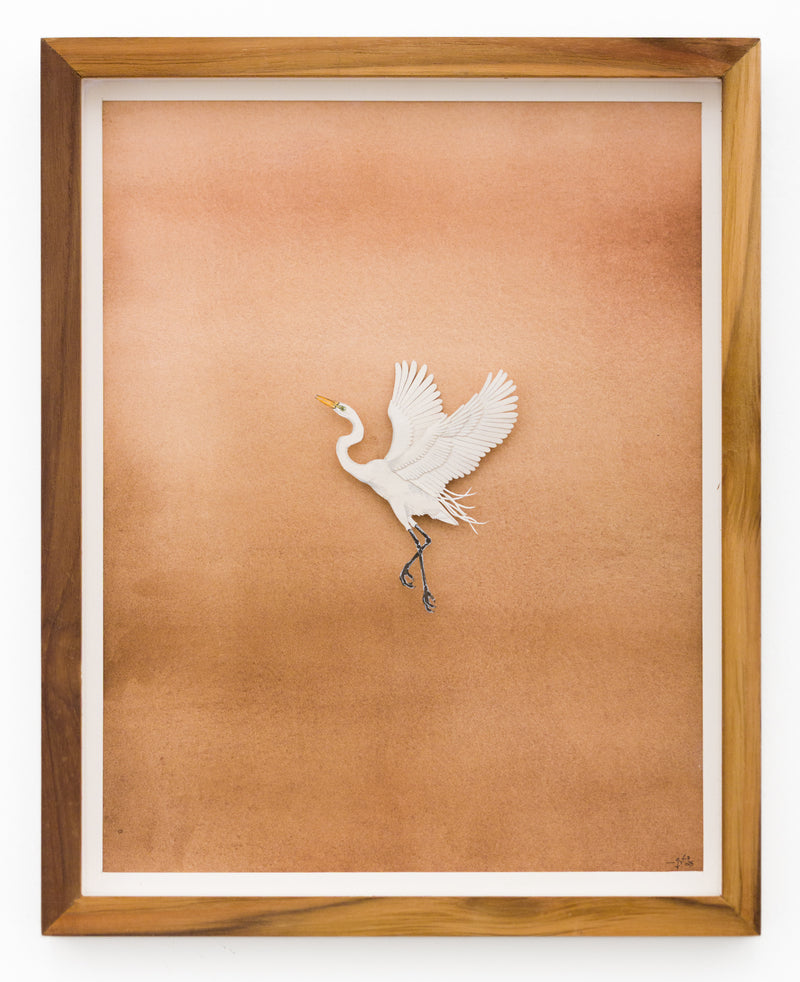 Egret