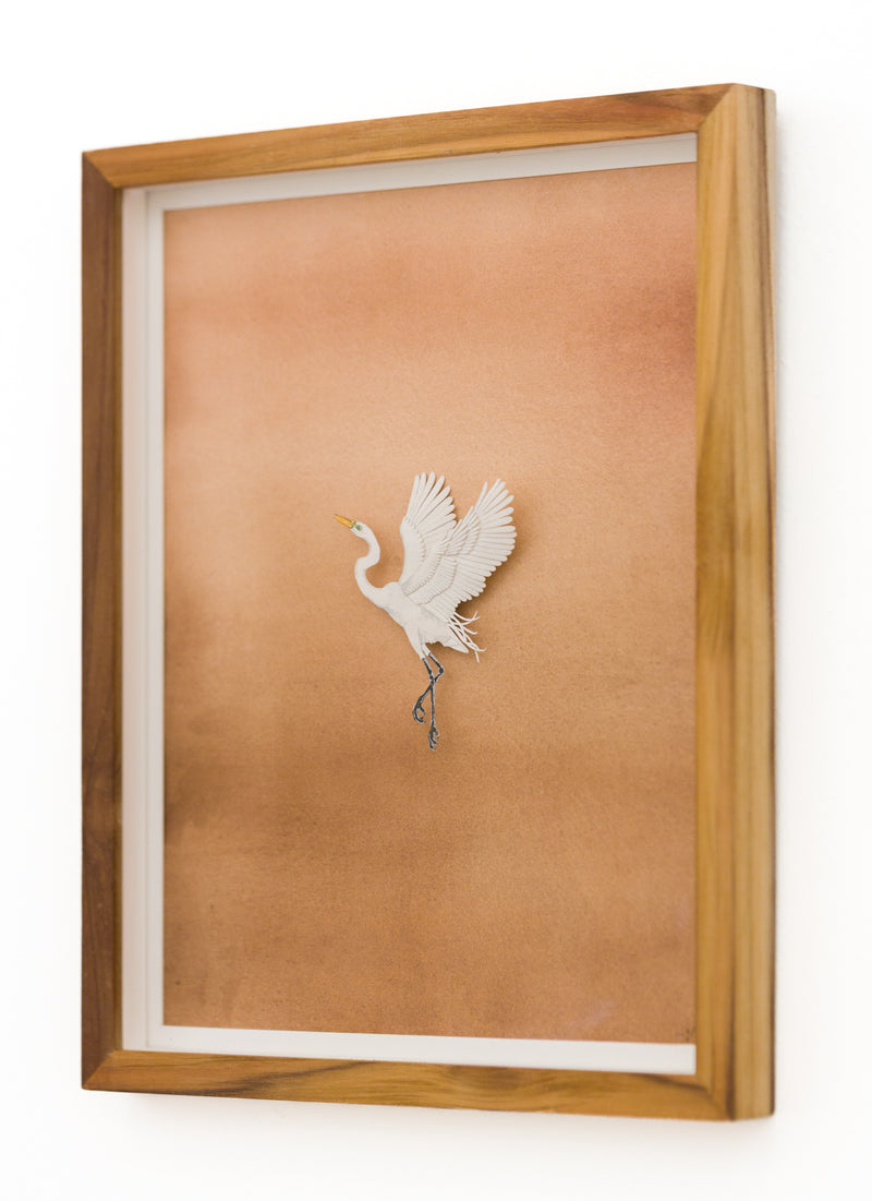 Egret