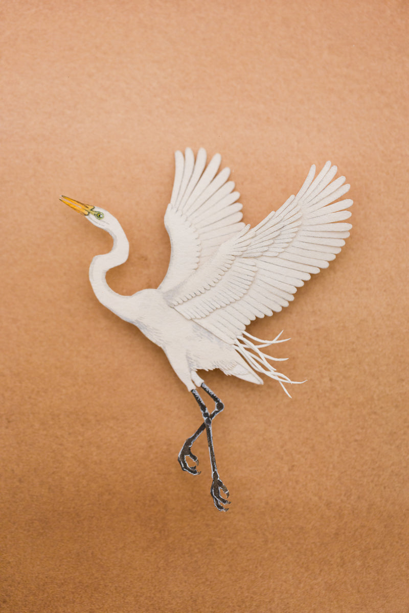 Egret