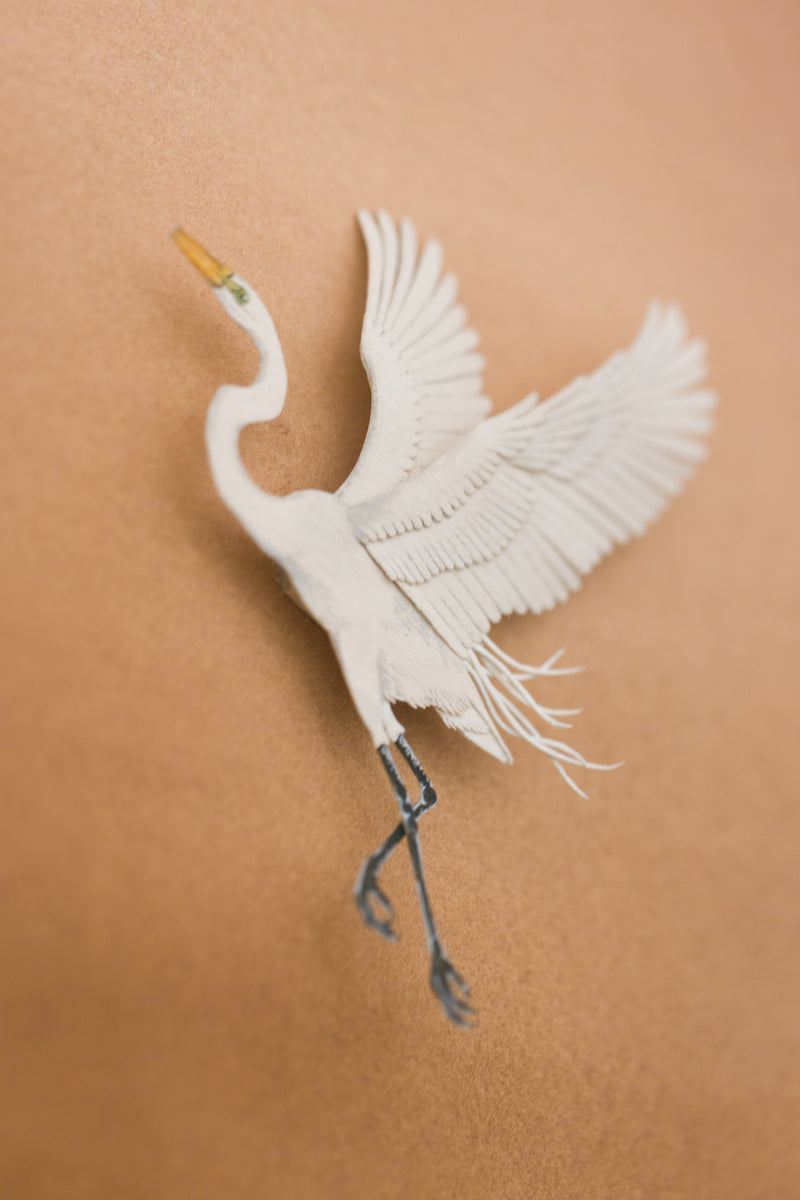 Egret