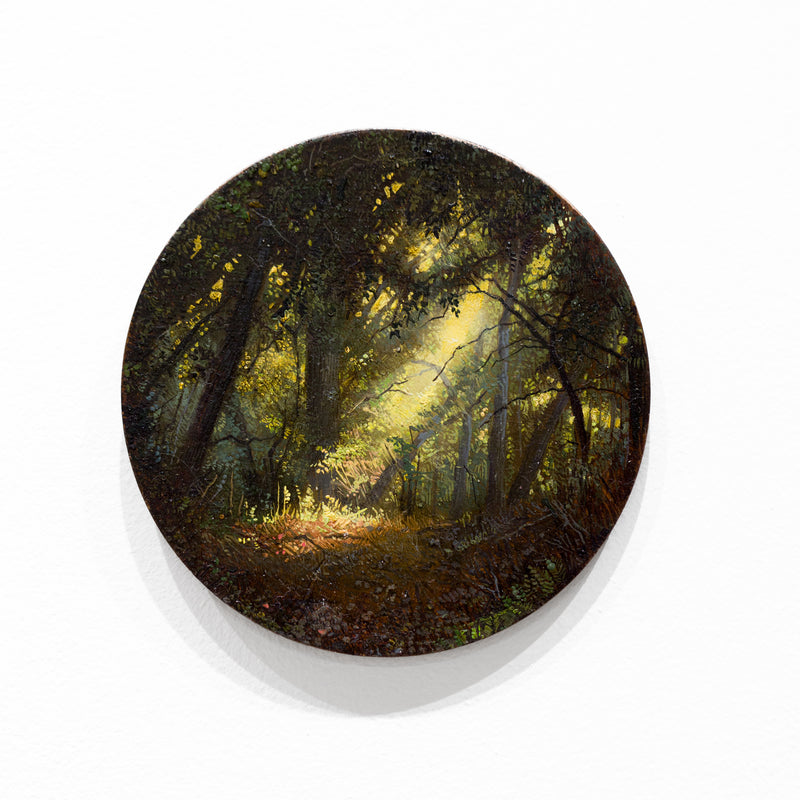 Enchanted Forest