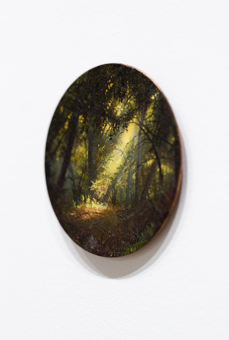 Enchanted Forest