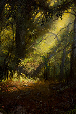 Enchanted Forest