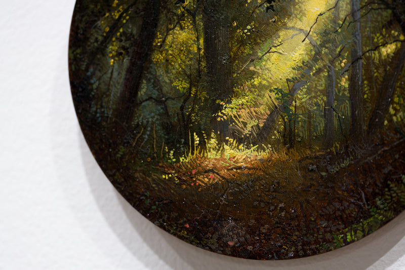 Enchanted Forest