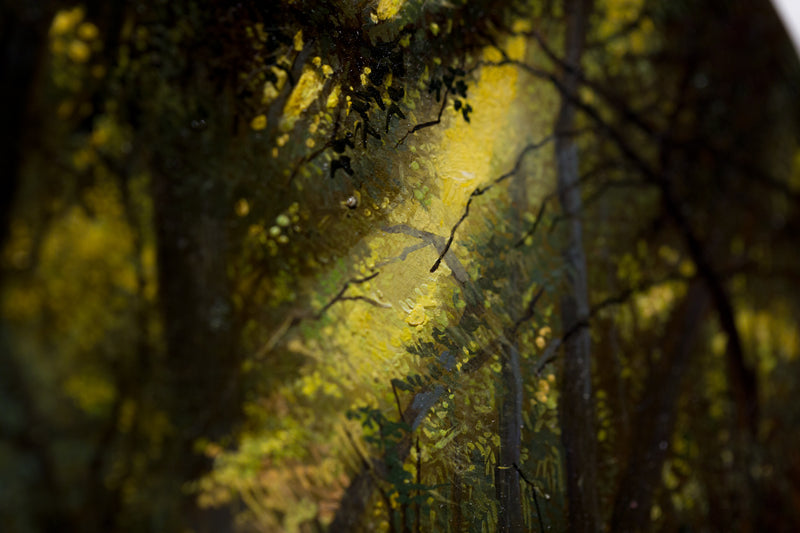 Enchanted Forest