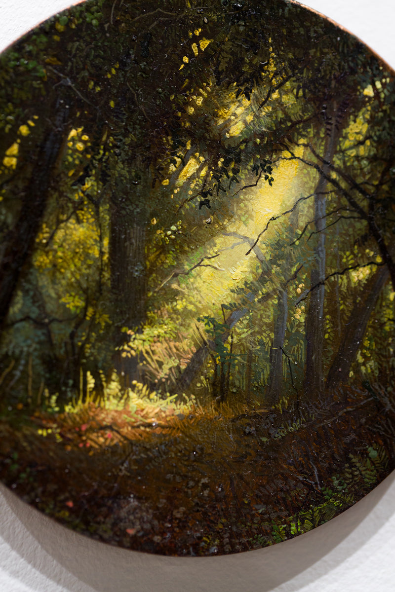 Enchanted Forest