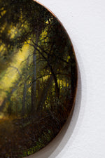 Enchanted Forest