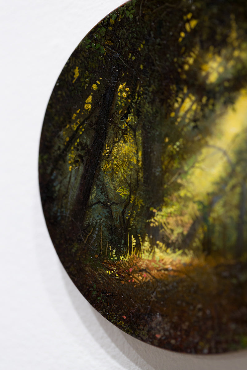 Enchanted Forest