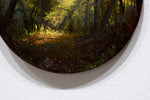 Enchanted Forest