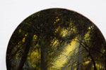 Enchanted Forest