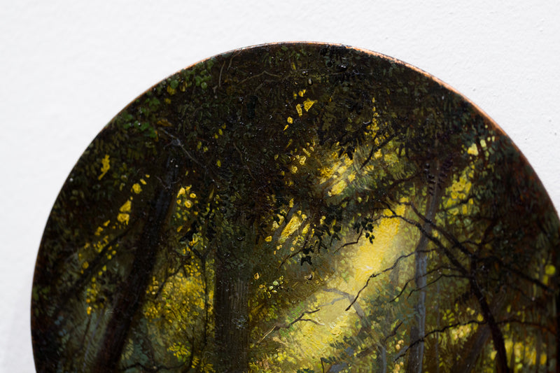 Enchanted Forest