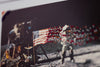 Fading Glory