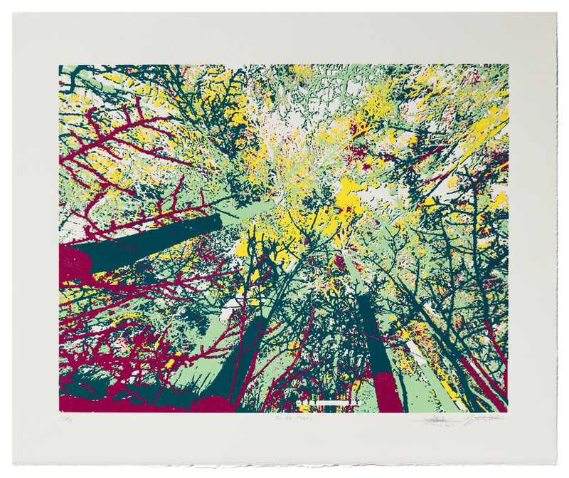 For the Trees VE 10/18