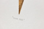 Gelato